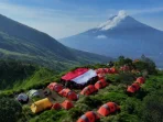 Sejarah Gunung Kembang 2.340 Mdpl: Berapi Stratovolcano